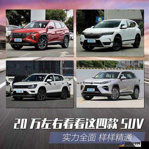 国产 SUV 精品一区二区 6 之详细解读与全面剖析